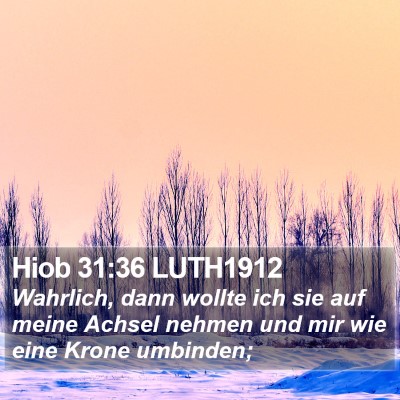 Hiob 31:36 LUTH1912 Bible Verse Image