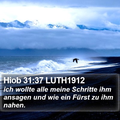 Hiob 31:37 LUTH1912 Bible Verse Image