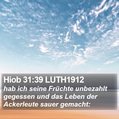 Hiob 31:39 LUTH1912 Bible Verse Image