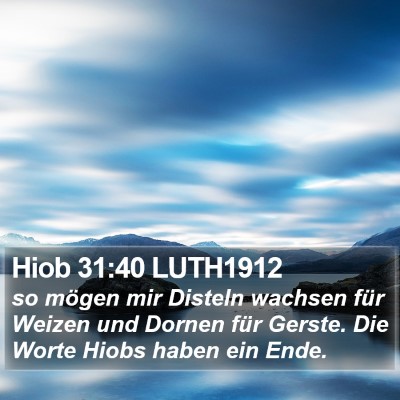 Hiob 31:40 LUTH1912 Bible Verse Image