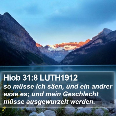 Hiob 31:8 LUTH1912 Bible Verse Image