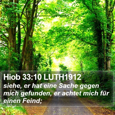Hiob 33:10 LUTH1912 Bible Verse Image