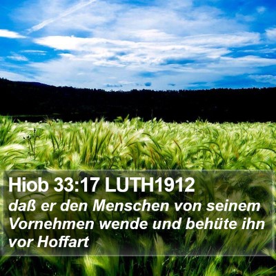 Hiob 33:17 LUTH1912 Bible Verse Image