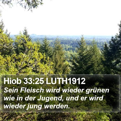 Hiob 33:25 LUTH1912 Bible Verse Image