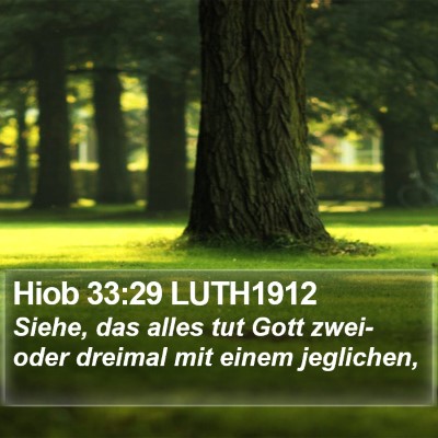 Hiob 33:29 LUTH1912 Bible Verse Image
