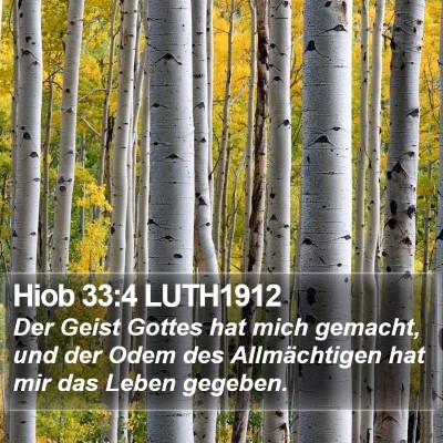 Hiob 33:4 LUTH1912 Bible Verse Image