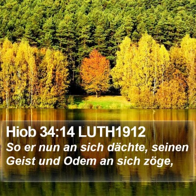 Hiob 34:14 LUTH1912 Bible Verse Image