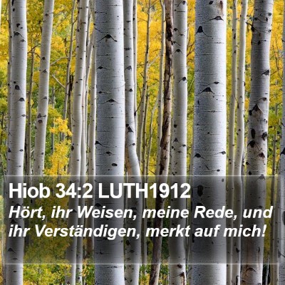 Hiob 34:2 LUTH1912 Bible Verse Image