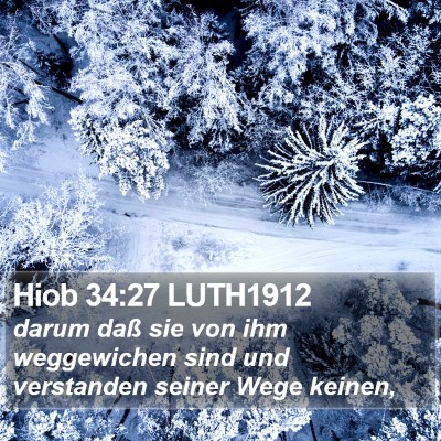 Hiob 34:27 LUTH1912 Bible Verse Image