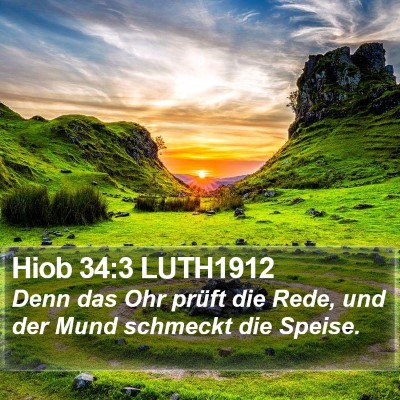 Hiob 34:3 LUTH1912 Bible Verse Image