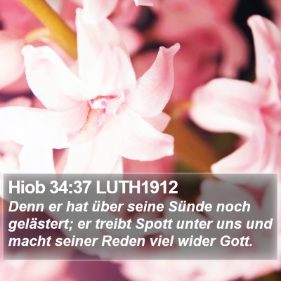 Hiob 34:37 LUTH1912 Bible Verse Image