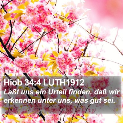 Hiob 34:4 LUTH1912 Bible Verse Image