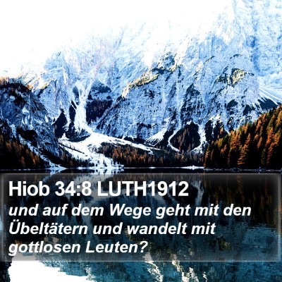 Hiob 34:8 LUTH1912 Bible Verse Image