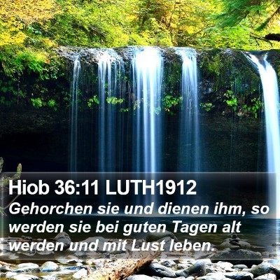 Hiob 36:11 LUTH1912 Bible Verse Image