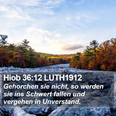 Hiob 36:12 LUTH1912 Bible Verse Image