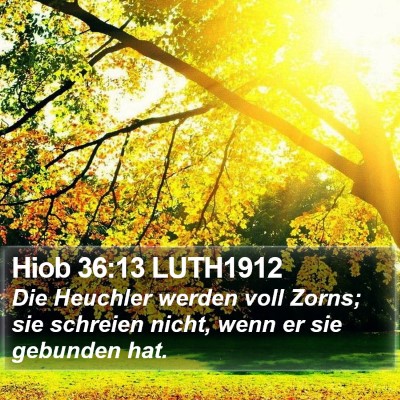 Hiob 36:13 LUTH1912 Bible Verse Image