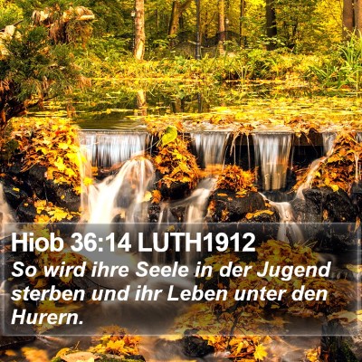 Hiob 36:14 LUTH1912 Bible Verse Image