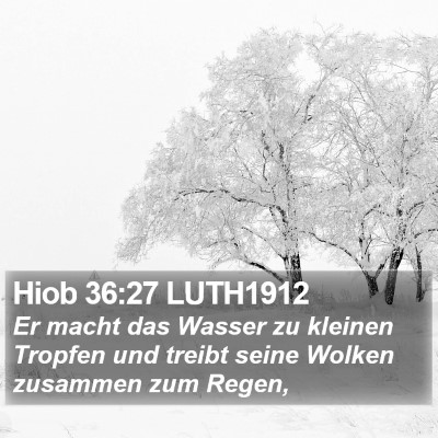 Hiob 36:27 LUTH1912 Bible Verse Image
