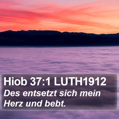 Hiob 37:1 LUTH1912 Bible Verse Image