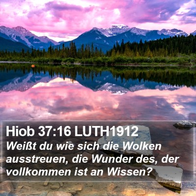 Hiob 37:16 LUTH1912 Bible Verse Image
