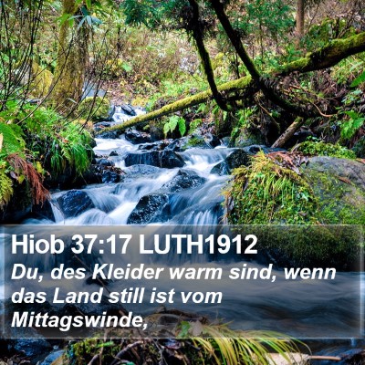 Hiob 37:17 LUTH1912 Bible Verse Image