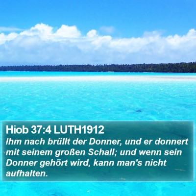 Hiob 37:4 LUTH1912 Bible Verse Image