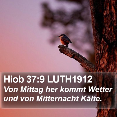 Hiob 37:9 LUTH1912 Bible Verse Image