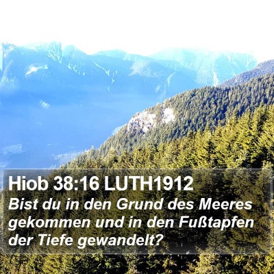 Hiob 38:16 LUTH1912 Bible Verse Image