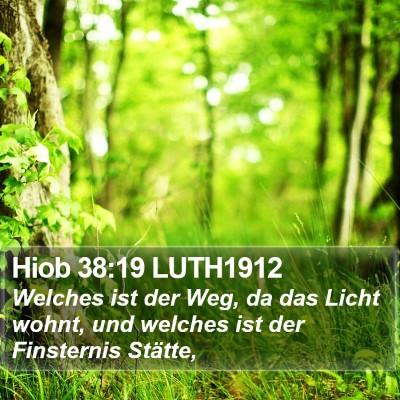 Hiob 38:19 LUTH1912 Bible Verse Image