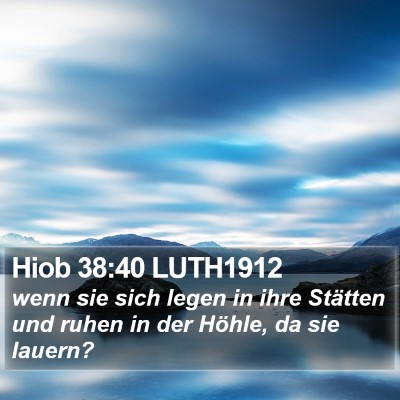 Hiob 38:40 LUTH1912 Bible Verse Image