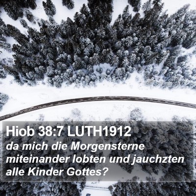 Hiob 38:7 LUTH1912 Bible Verse Image