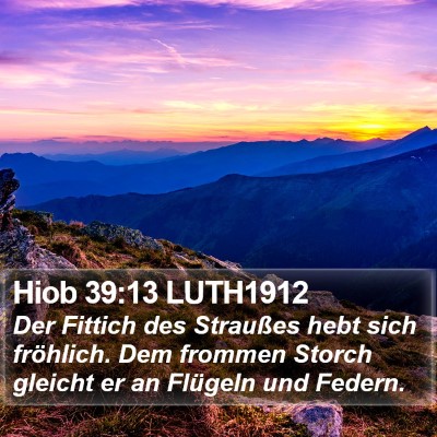 Hiob 39:13 LUTH1912 Bible Verse Image