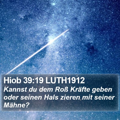 Hiob 39:19 LUTH1912 Bible Verse Image