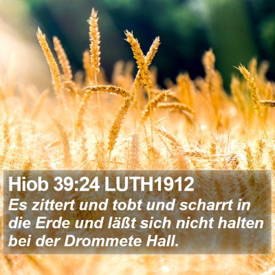 Hiob 39:24 LUTH1912 Bible Verse Image