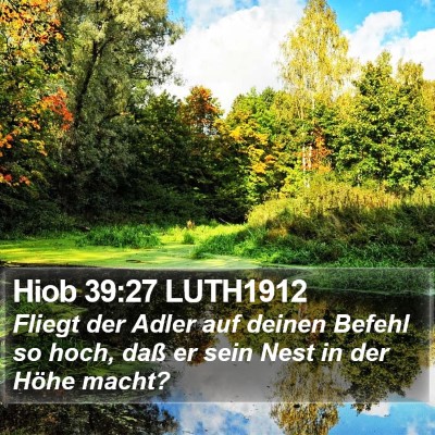 Hiob 39:27 LUTH1912 Bible Verse Image