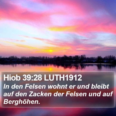 Hiob 39:28 LUTH1912 Bible Verse Image