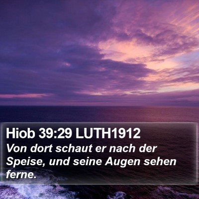 Hiob 39:29 LUTH1912 Bible Verse Image
