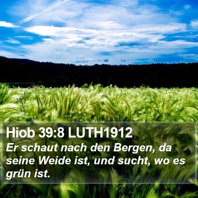 Hiob 39:8 LUTH1912 Bible Verse Image
