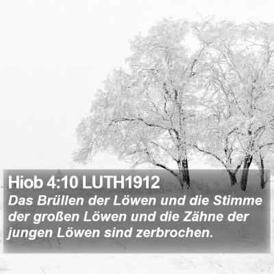 Hiob 4:10 LUTH1912 Bible Verse Image