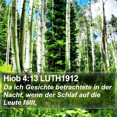 Hiob 4:13 LUTH1912 Bible Verse Image
