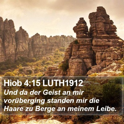 Hiob 4:15 LUTH1912 Bible Verse Image