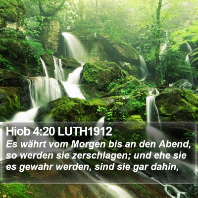 Hiob 4:20 LUTH1912 Bible Verse Image