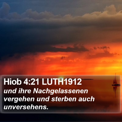 Hiob 4:21 LUTH1912 Bible Verse Image