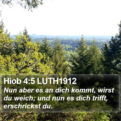 Hiob 4:5 LUTH1912 Bible Verse Image