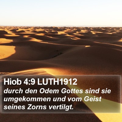 Hiob 4:9 LUTH1912 Bible Verse Image