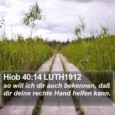 Hiob 40:14 LUTH1912 Bible Verse Image