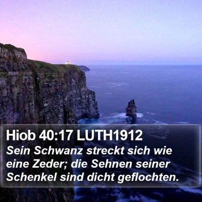 Hiob 40:17 LUTH1912 Bible Verse Image