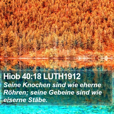 Hiob 40:18 LUTH1912 Bible Verse Image