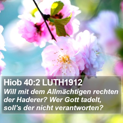 Hiob 40:2 LUTH1912 Bible Verse Image