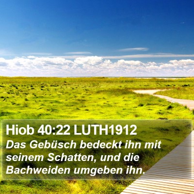 Hiob 40:22 LUTH1912 Bible Verse Image